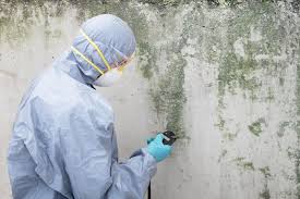 Best Commercial Mold Inspection  in Loch Sheldrake, NY